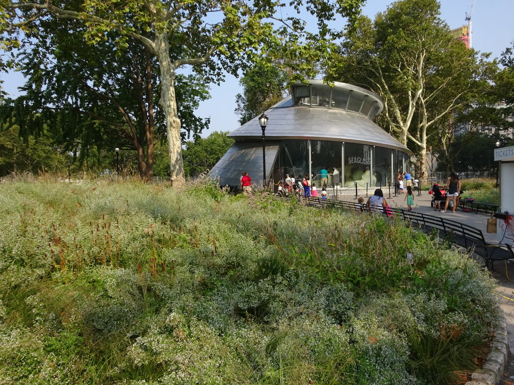 公園 新メリーゴーランド バッテリーパーク からのチャイナタウン 窓 New York 再び