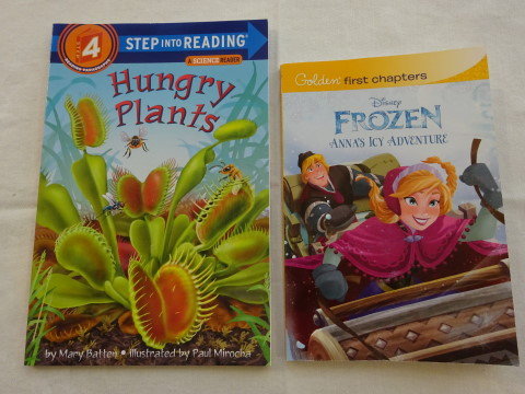 マドのお勉強の記録 その３ 窓 New York 再び