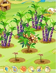 サンシャイン牧場キャプチャ画像 サンシャイン牧場キャプチャ画像