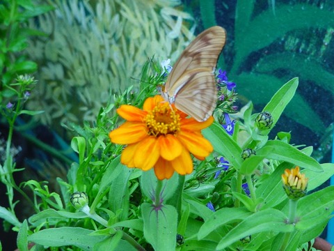 DSC00071