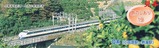 JRCP������ι�Τ�����19ɽ