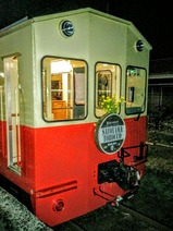 夜桜トロッコ里見駅