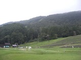 20100816タングラムラベンダーパーク
