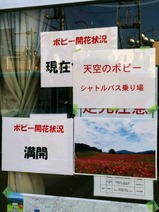 2017ŷ���Υݥԡ�����ȥ�Х��Τ�г���Ǽ�ʪ2