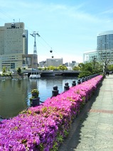 ���ͥ�������ӥ󲼤������