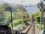 20230628あじさい電車車窓