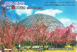 ゆとりーとライン開業5周年記念カード2
