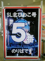 SL�̤Ӥ盧�Ƹ��طǼ�ʪ