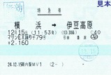 マリンEX踊り子号特急券