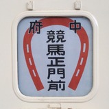 20250530�����졼�����5000�����涥��������