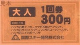 国際スキー開発第1ペアサミットスーパーレインボー1回券大人
