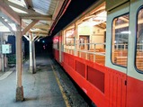 夜桜トロッコ上総山田駅