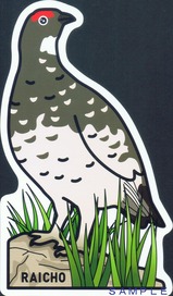 立山黒部アルペンルートポストカード雷鳥