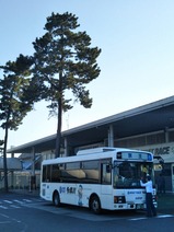 20250430�ܡ��ȥ졼��¿����