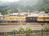 H050811パレオ6