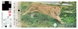 多摩動物公園ライオンバス2024乗車券2