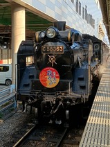 SL����Ȥ�����פ�淧ë��