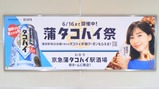 20240609³÷¥¿¥³¥Ï¥¤º×µþµÞ³÷Åıزþ»¥Æâ·Ç¼¨Êª