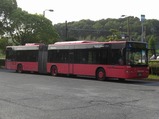 CIMG3524
