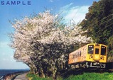 肥薩おれんじ鉄道直通快速絵はがき01