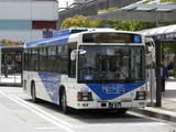 20100429ʎގĥؽ跿