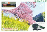高尾駅特急みなみの桜河津桜高尾号記念乗車証2025