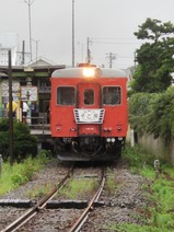 CIMG7264