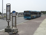 20100429ʎގώ؎ݎގѤΤ
