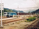 H050811パレオ5