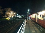 夜桜トロッコ里見駅