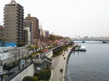 20210325¥µ¥¯¥é¥È¥ì¥¤¥ó¼ÖÁë
