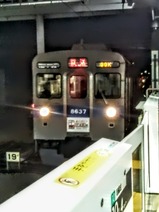 20230118���Bunkamura��40K����ԡ�Ĺ���ı�����