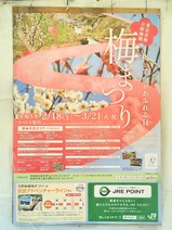 20230223特急青梅奥多摩梅の里号の旅梅の公園