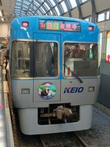 20260314���Ƭ���亲�ȥ쥤���ë��