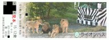 多摩動物公園ライオンバス2024乗車券1