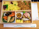 小田急あしがら弁当