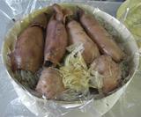 ��������Ļ����ۤ��������������ᤷ���