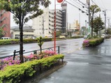 東西線代行バス西葛西駅降車場付近2