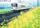 肥薩おれんじ鉄道直通快速絵はがき02