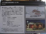 CIMG5984
