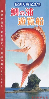 鯛の浦遊覧船パンフレット