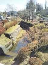 20230223特急青梅奥多摩梅の里号の旅梅の公園