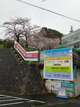 20260331¥¹¥«¥¤¥·¥ã¥È¥ëµþ²¦¸ý¥¹¥Æ¡¼¥·¥ç¥ó