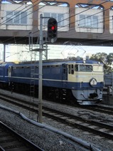 CIMG7761