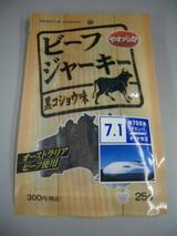 JR�쳤N700���㡼����