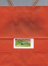 �޹Իֲ쎳���َ��ю��Î��������������䎾������