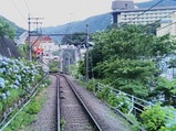 20230628あじさい電車車窓