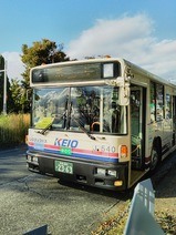 20231021����̱�ޤĤꥷ��ȥ�Х�������̱�ײ��Х���