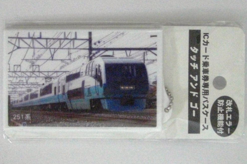JR東日本 スーパービュー踊り子号 : 13番まどぐち
