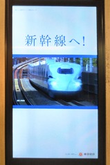 20230306��������鿷�����ء���¢������